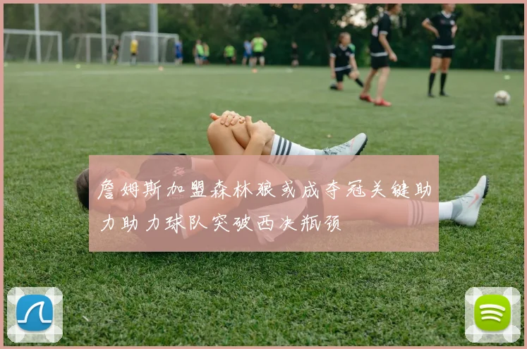 詹姆斯加盟森林狼或成夺冠关键助力助力球队突破西决瓶颈