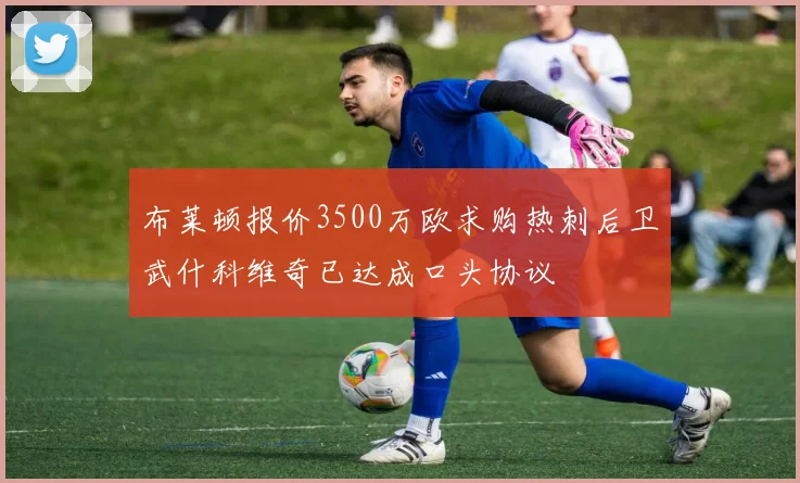布莱顿报价3500万欧求购热刺后卫武什科维奇已达成口头协议