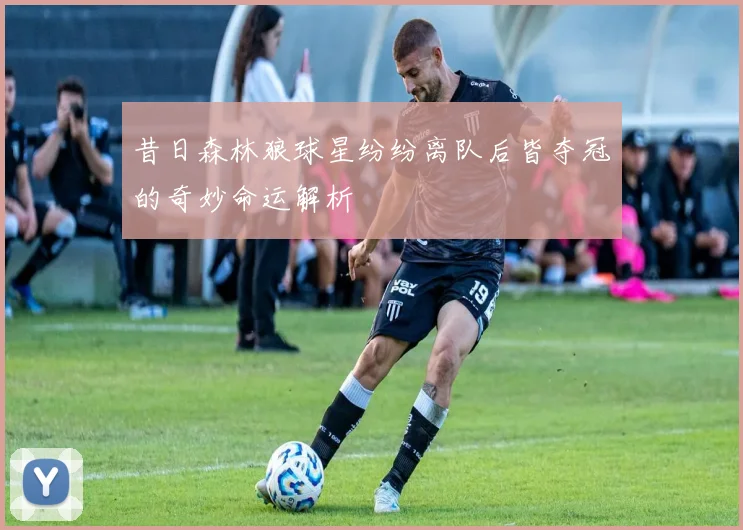昔日森林狼球星纷纷离队后皆夺冠的奇妙命运解析